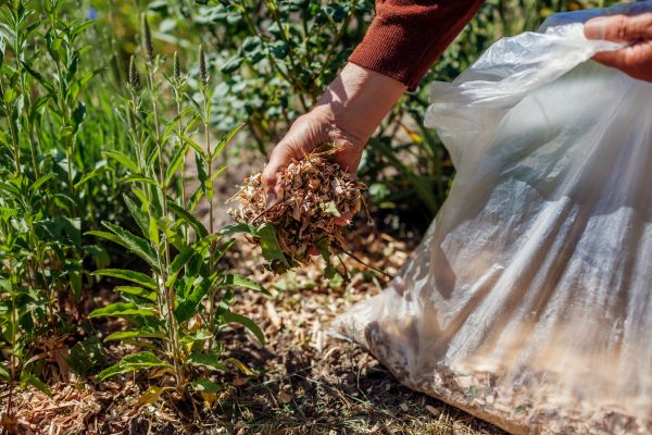 Wood Mulch Installation in Arvada