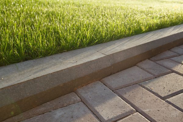 Lawn Edging Replacement in Arvada