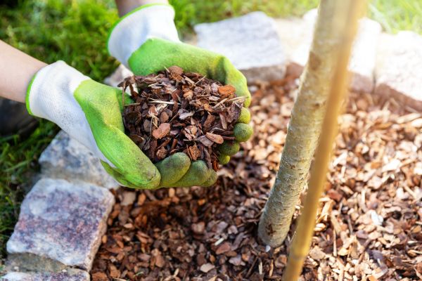 Tree Bark Delivery in Arvada