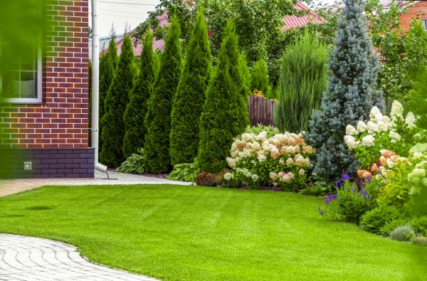 Spring Landscaping in Arvada