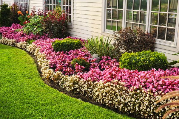 Garden Landscape Design in Arvada