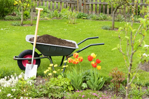 Spring Yard Renovation in Arvada