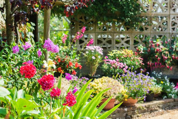Spring Garden Maintenance in Arvada