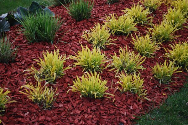 Red Mulch Installation in Arvada