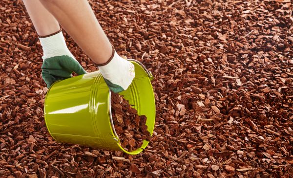 Wood Chip Landscaping in Arvada