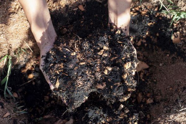 Organic Mulch Installation in Arvada