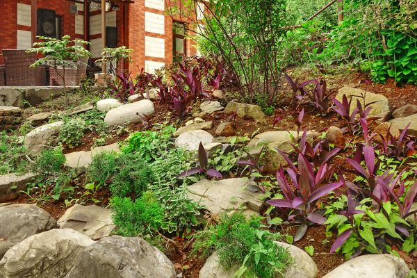Rock Garden Landscaping in Arvada
