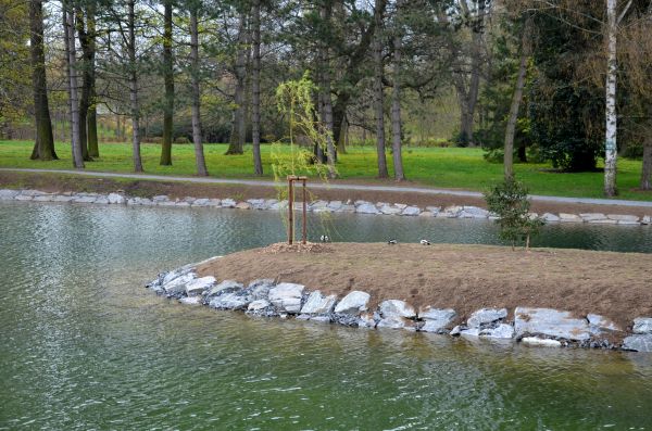Pond Landscaping Service in Arvada
