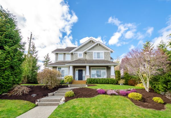 Landscaping Replacement in Arvada