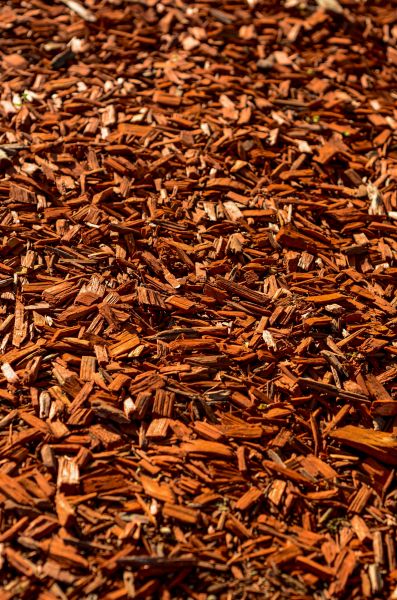 Cedar Mulch Spreading in Arvada