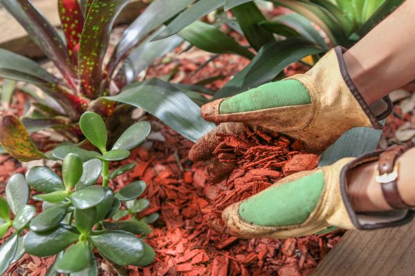Residential Mulching in Arvada