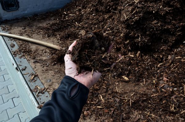 Condo Mulching in Arvada