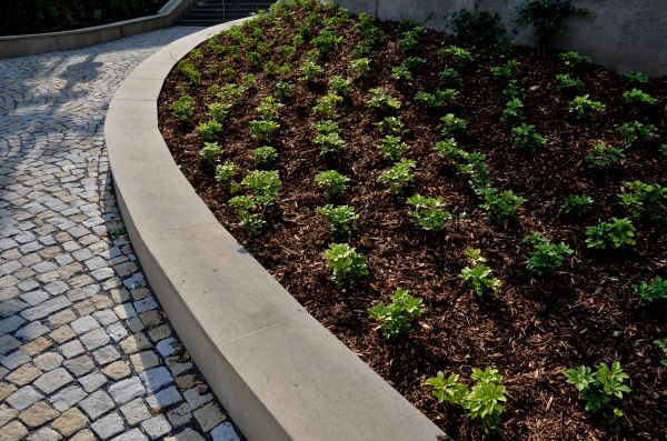Commercial Mulching in Arvada
