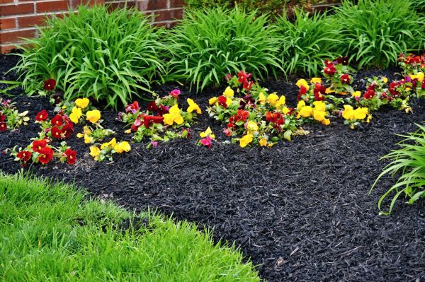 Apartment Mulching in Arvada